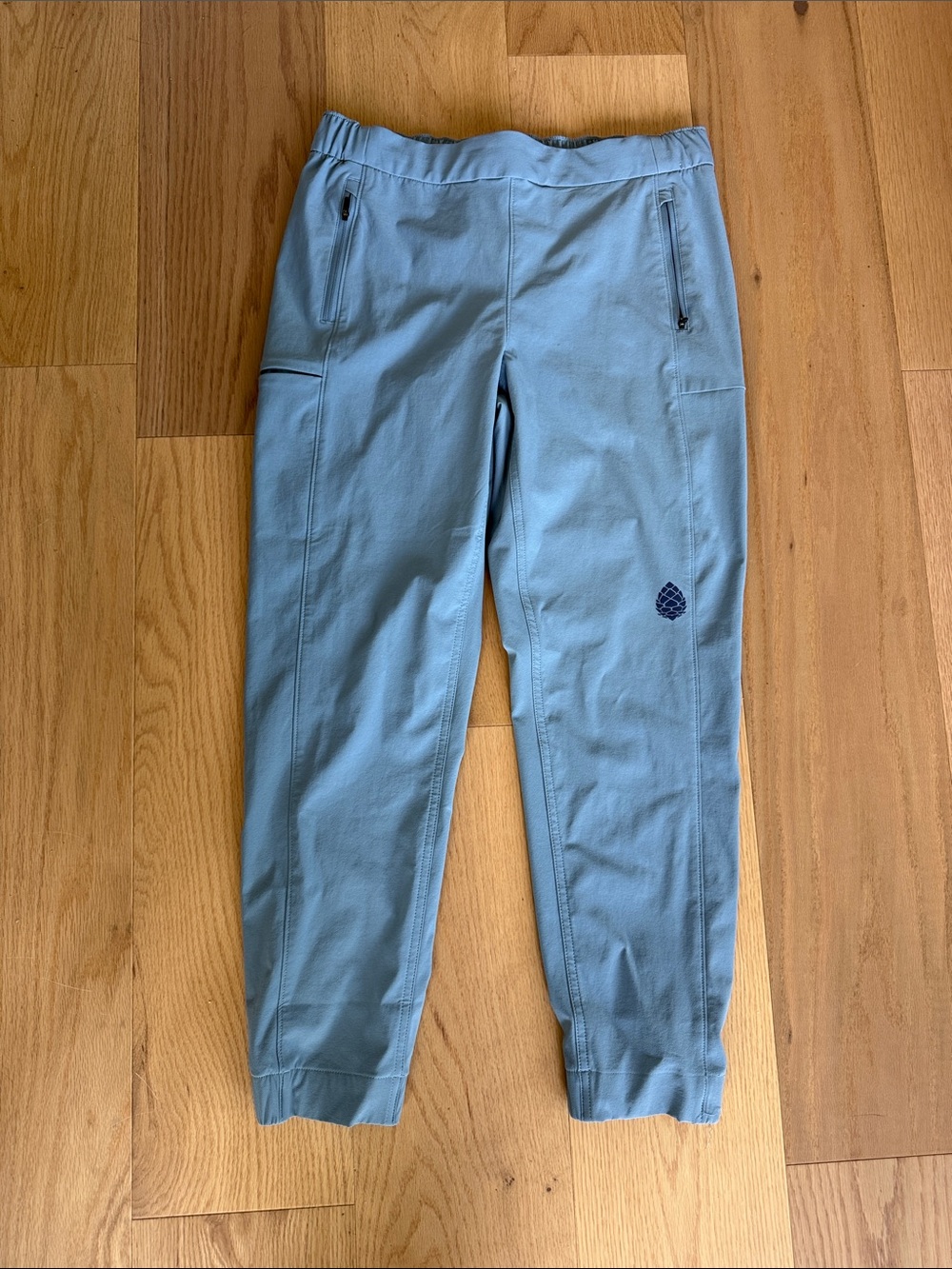 Stio jogger pant